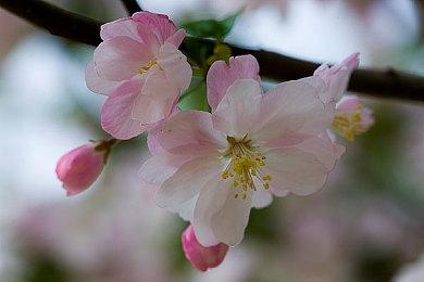 《星空》入围2023年Steam“最具创意游戏玩法”大奖提名